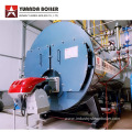 Industrial Gas Oil Steam Boiler for Pharmaceutical Machine